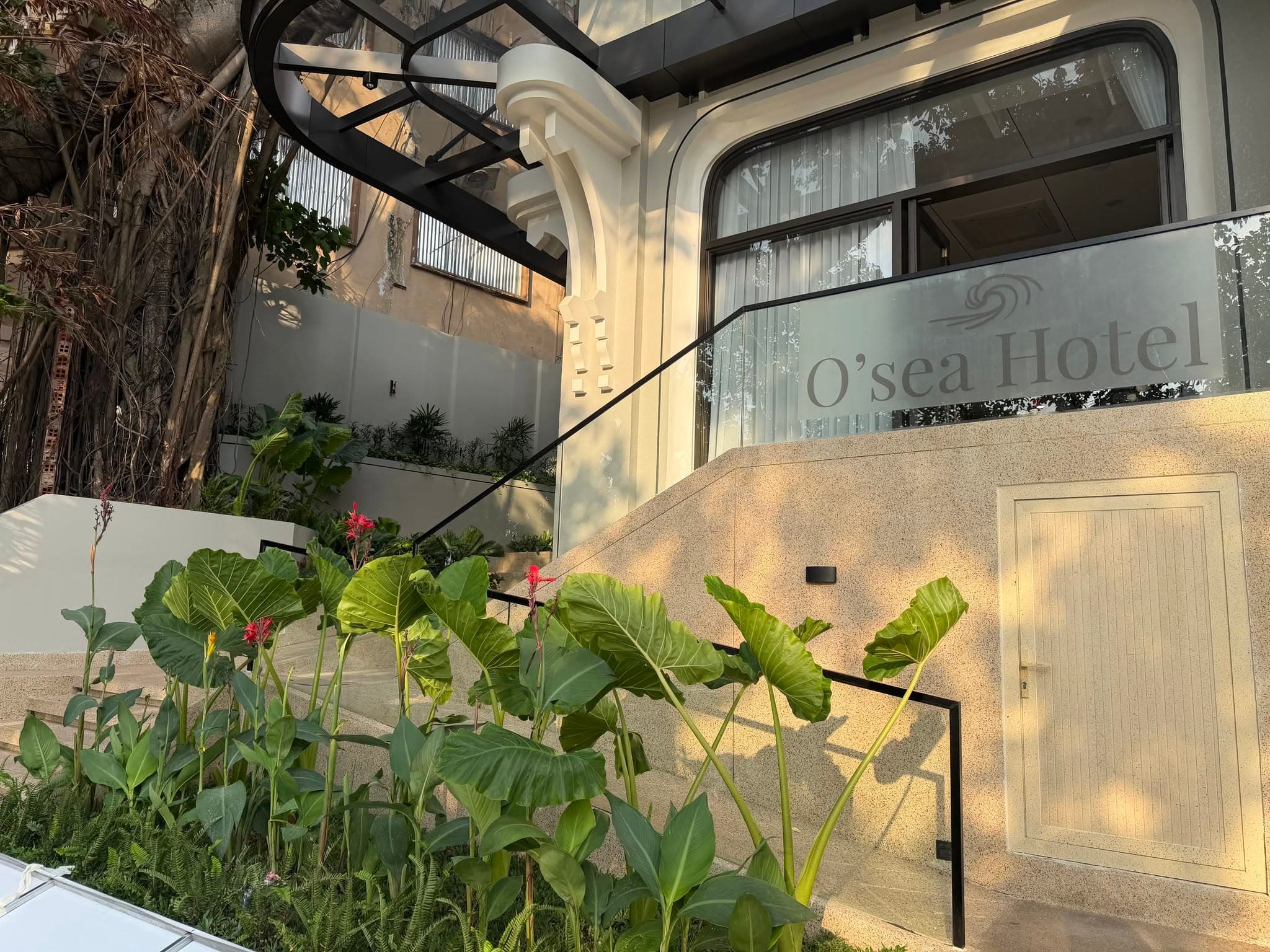 Garden at the hotel entrance