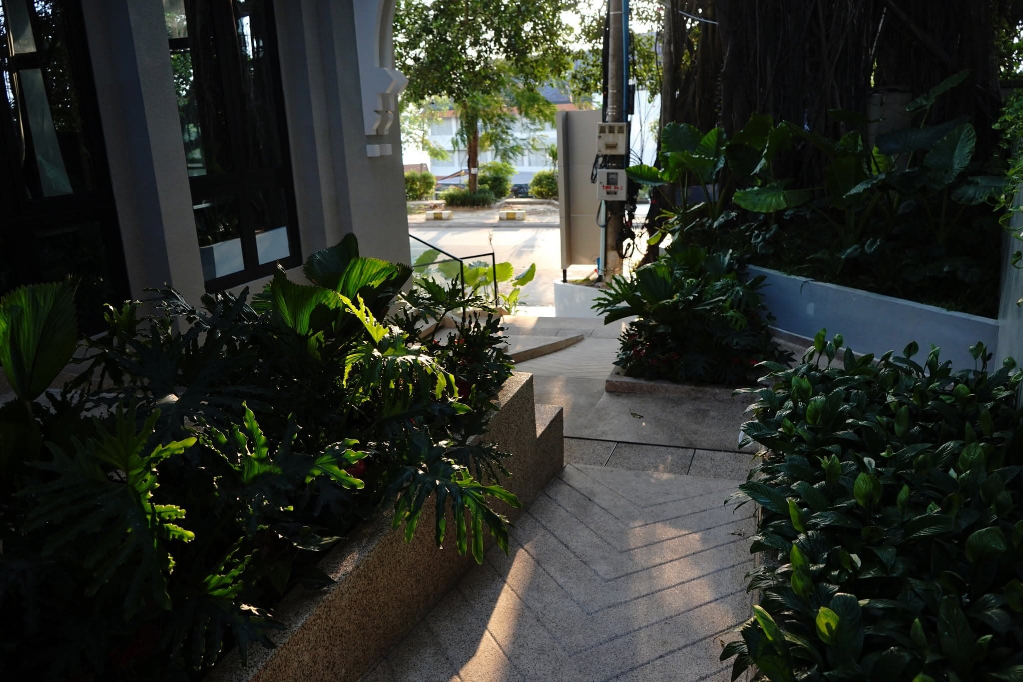 Garden pathway